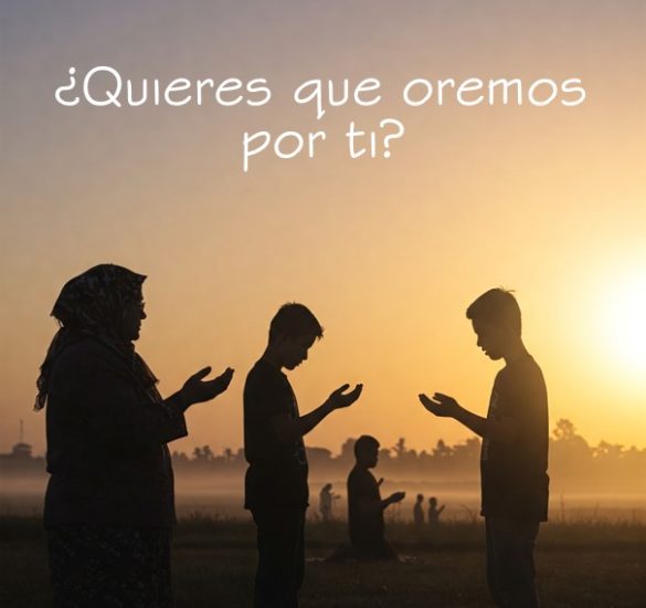 IMAGEN 3